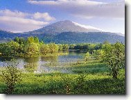 Puzzle on-line Puzzle on-line