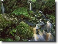 Puzzle on-line Puzzle on-line