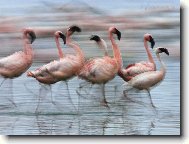 Puzzle on-line Puzzle on-line