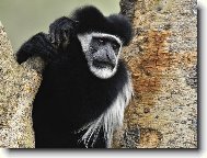 Puzzle on-line Puzzle on-line