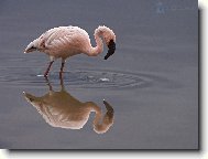 Puzzle on-line Puzzle on-line