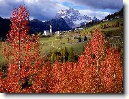 Puzzle on-line Puzzle on-line