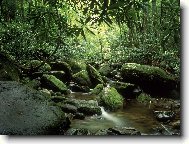 Puzzle on-line Puzzle on-line