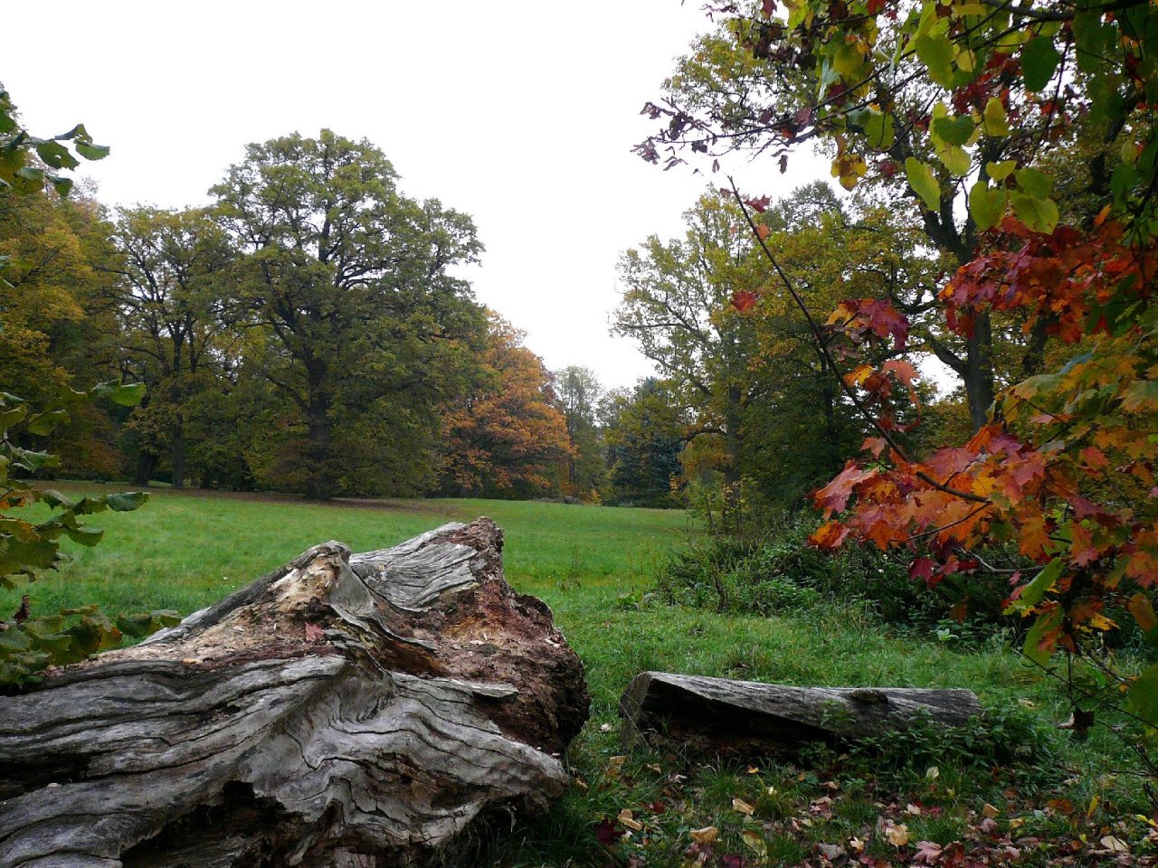 Foto: Vzpomínka na podzim