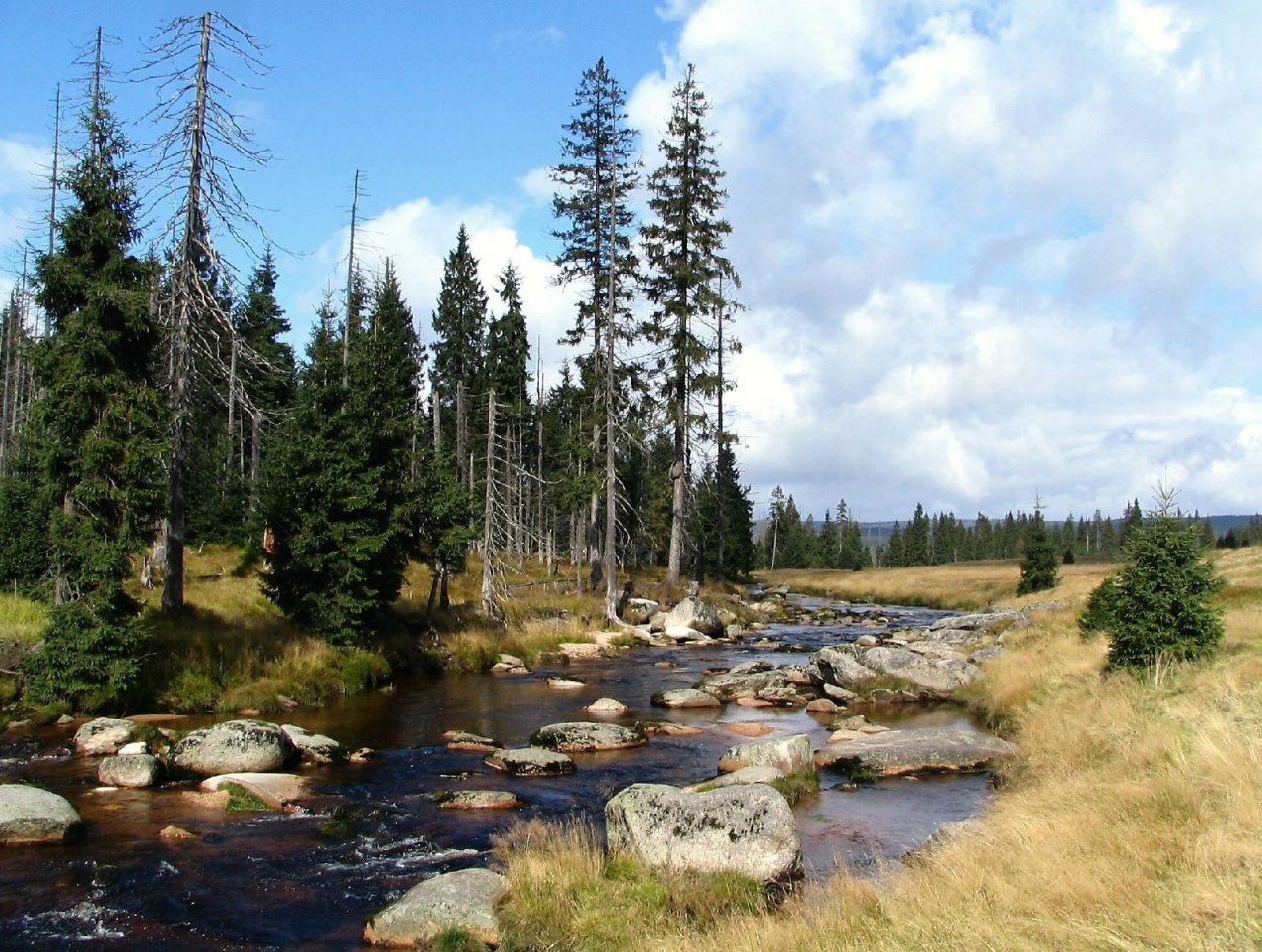 Foto: Jizerská Louka