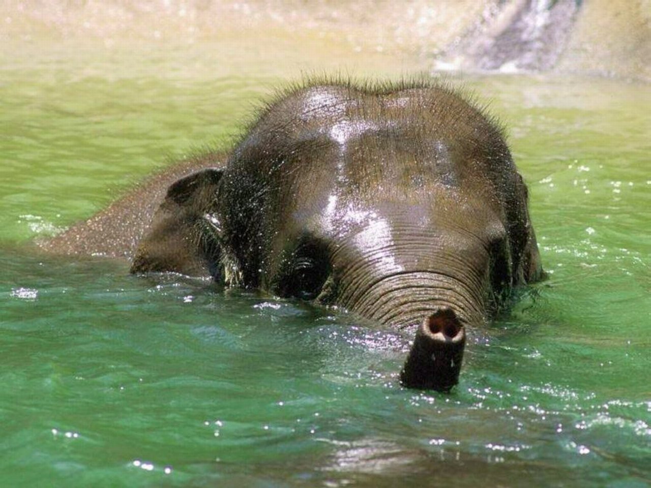 Foto: