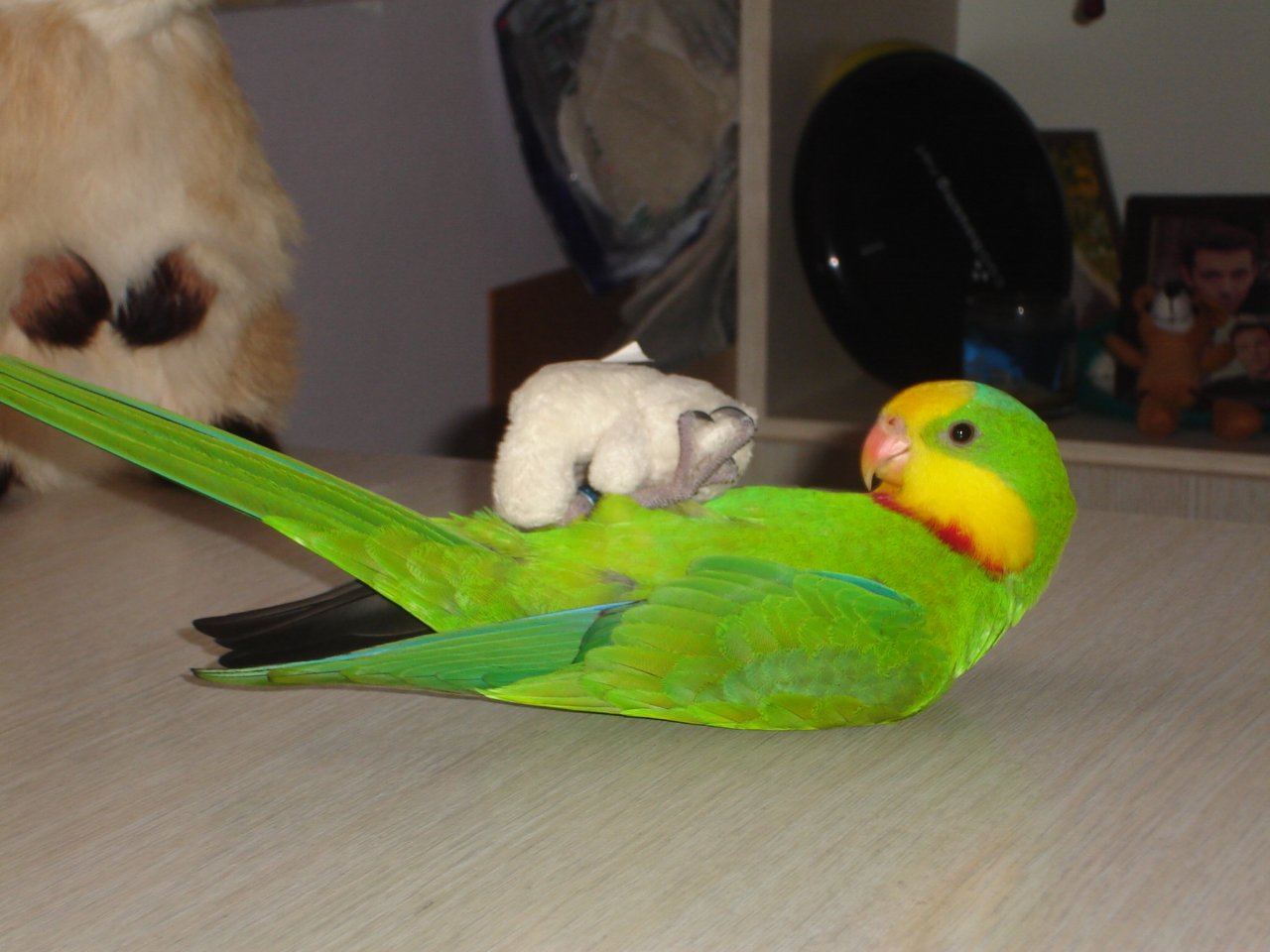 Foto: