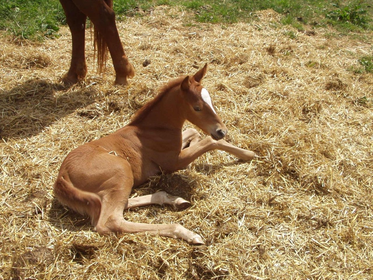 Foto: Teď odpočívám!
