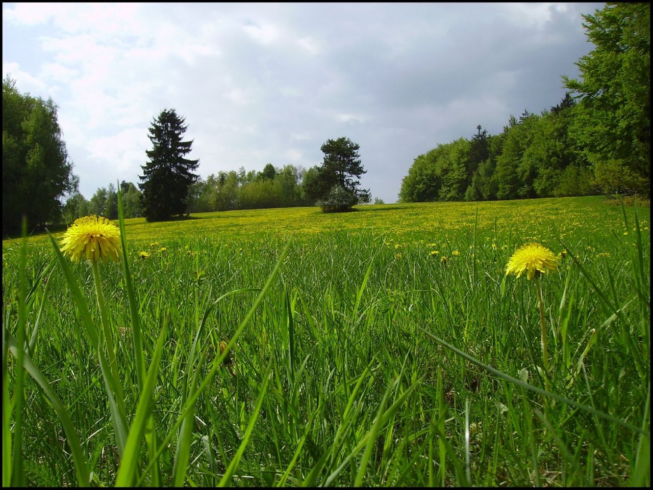 Foto: Krásná příroda