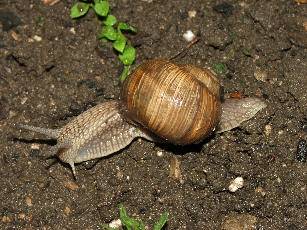 Foto: