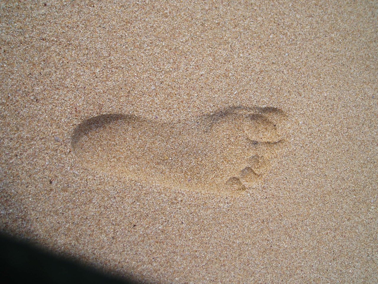 Foto: