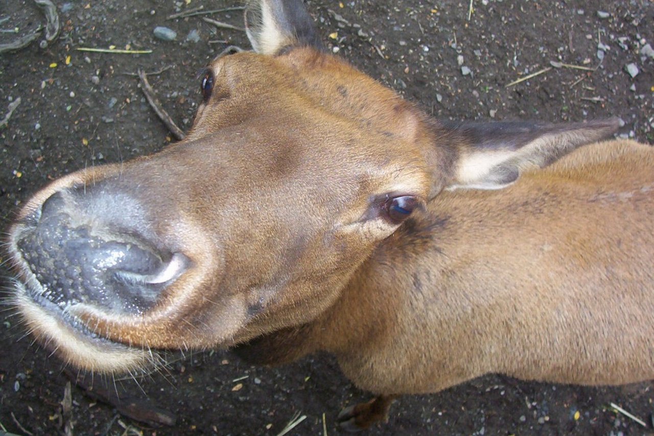 Foto: