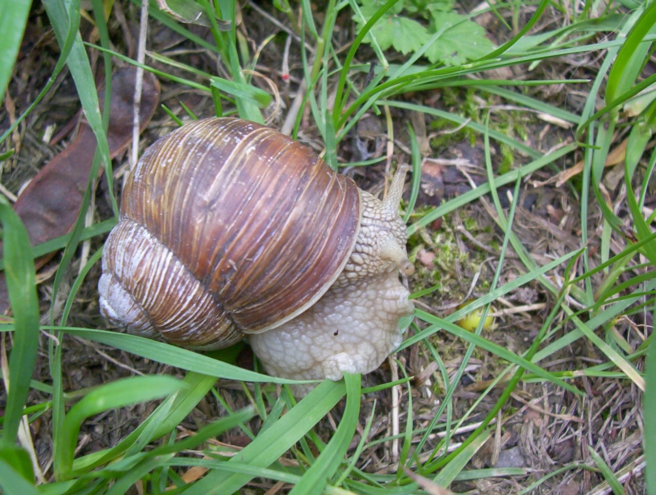 Foto: