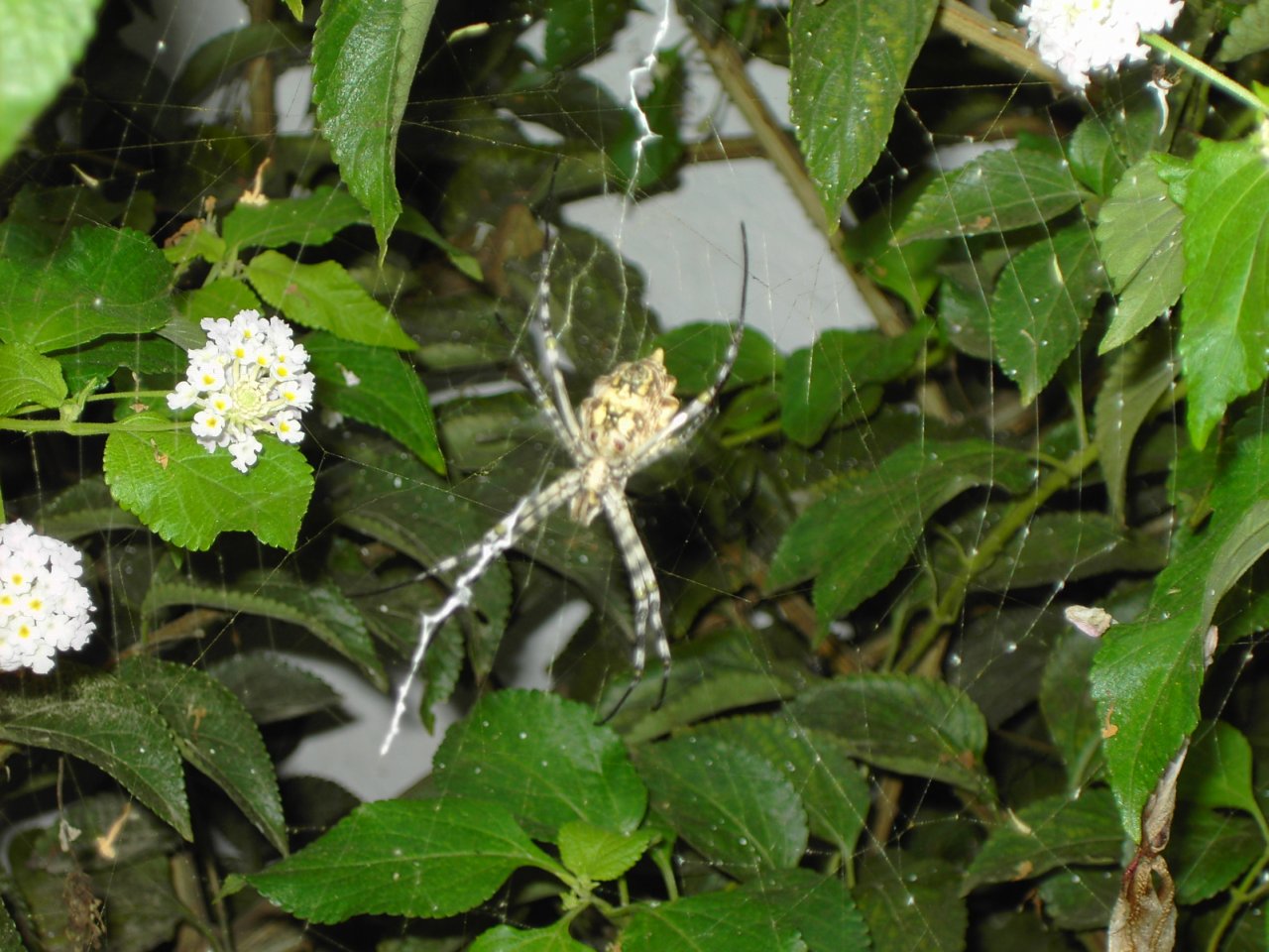 Foto:
