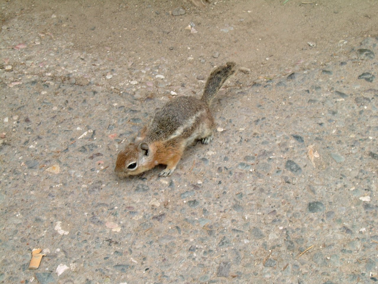Foto: