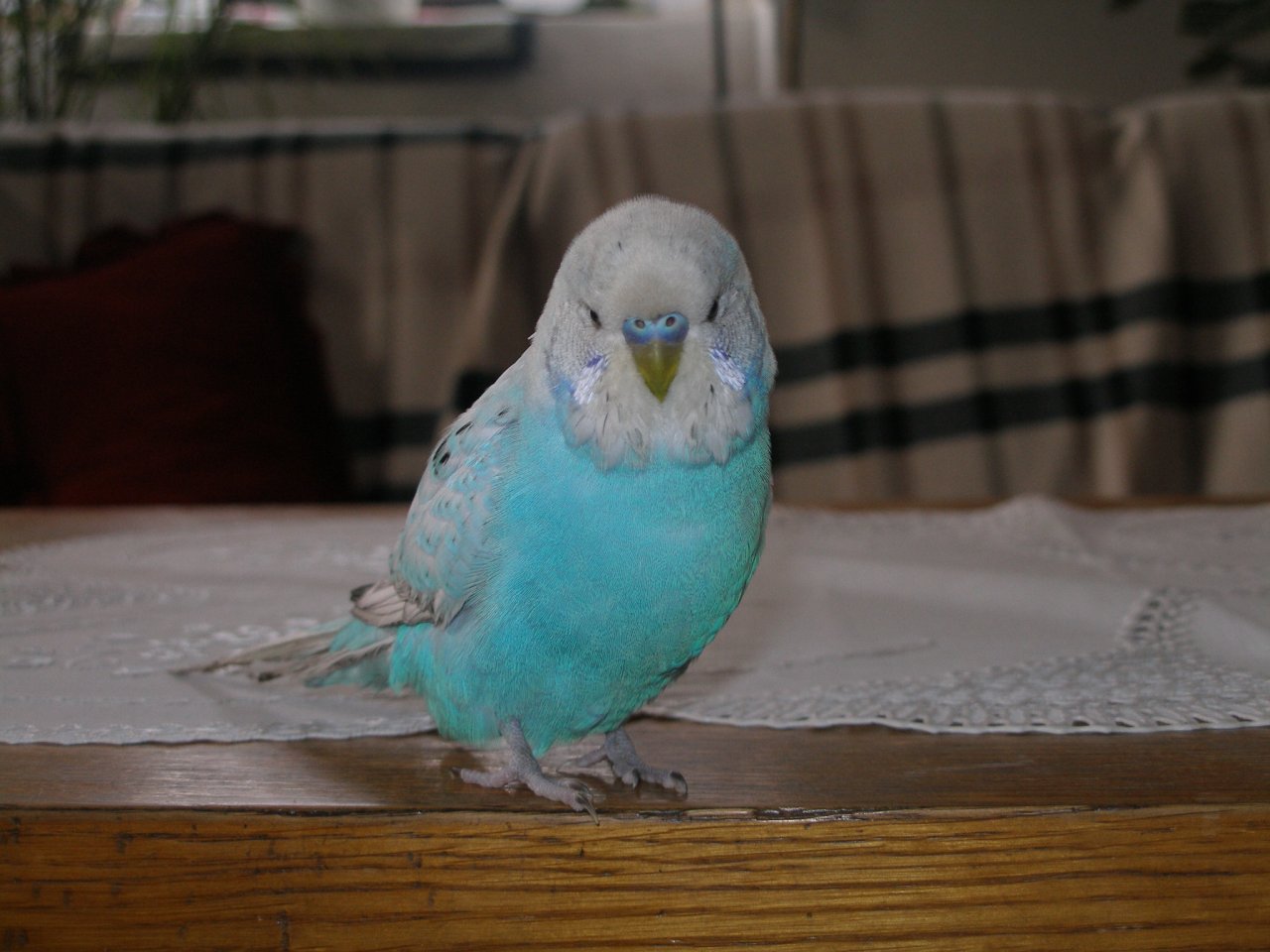 Foto: