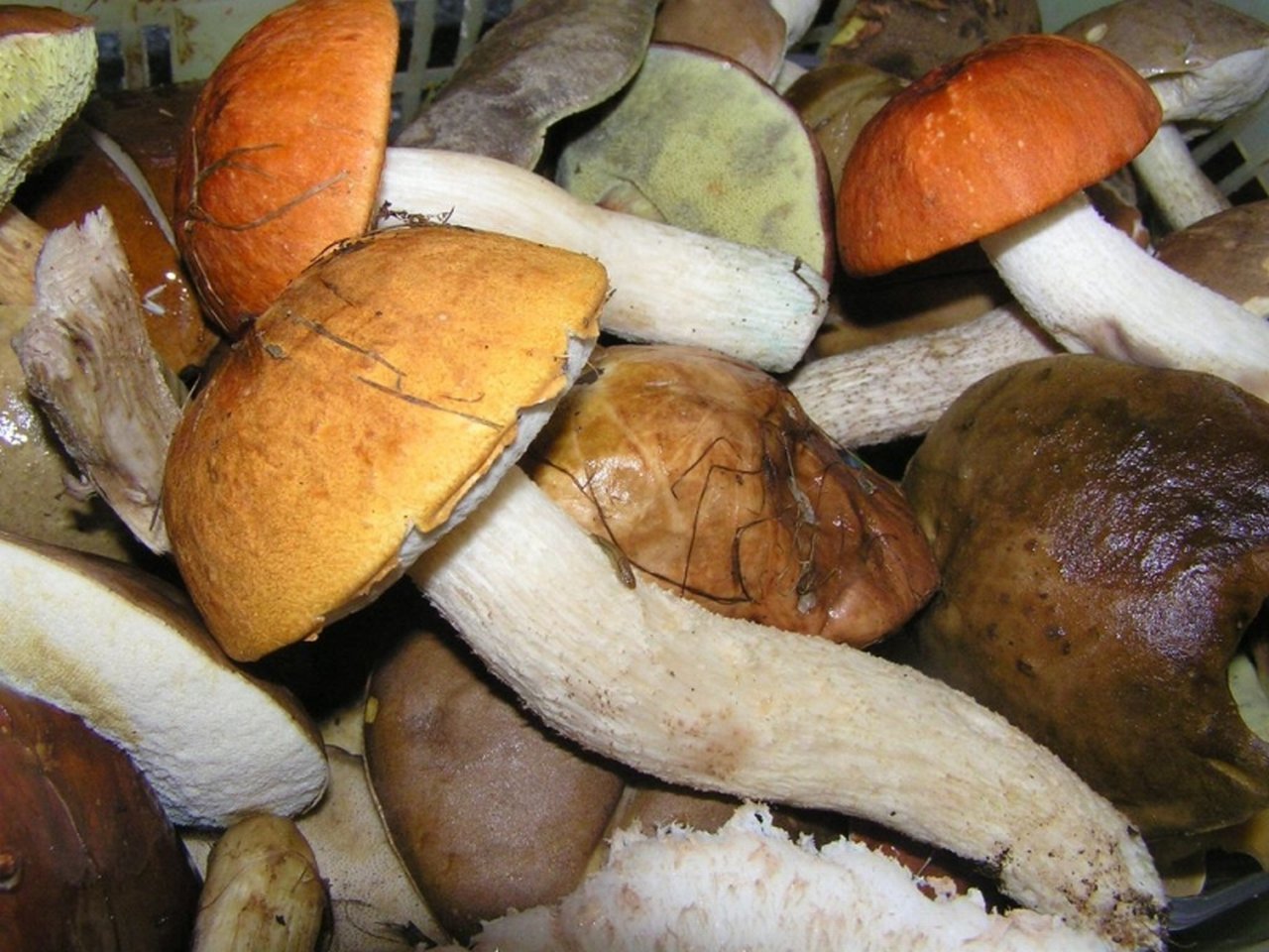 Foto: