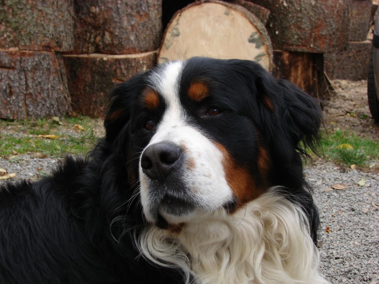 Foto: takhle kouká ten můj Jim