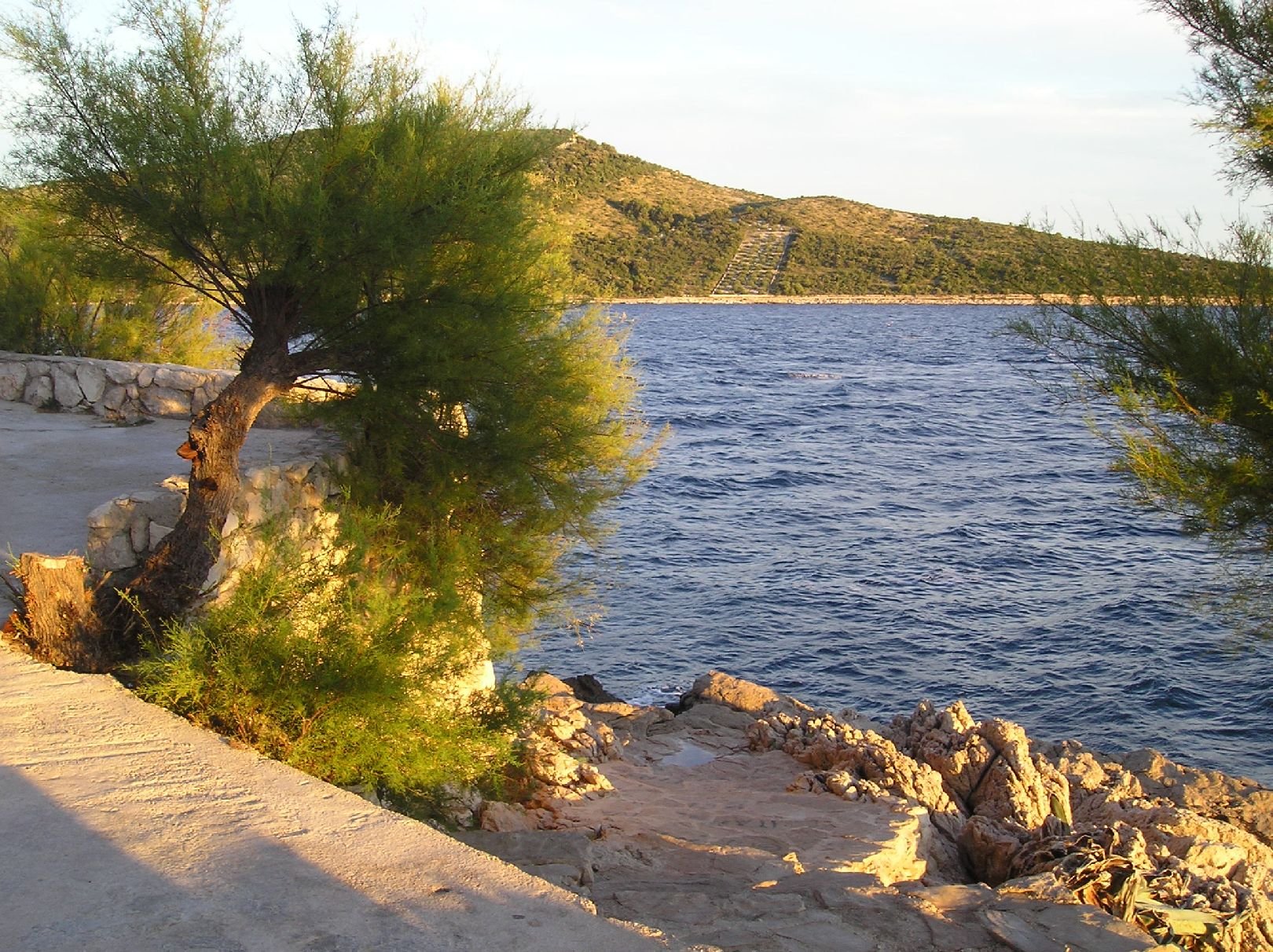 Foto: Zasluněné pobřeží