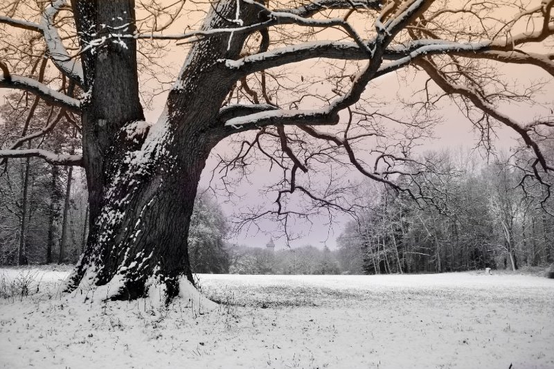 Foto: Na Svatého Martina