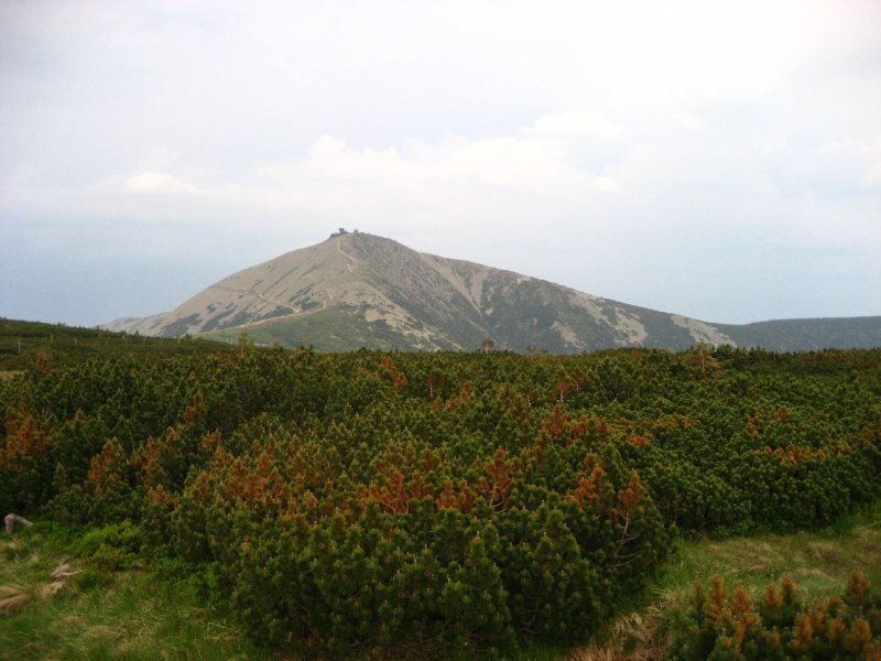 Foto: Snìžka