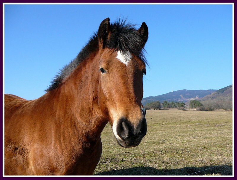 Foto: Pod Ještědem