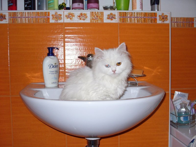 Foto: hygiena je základ