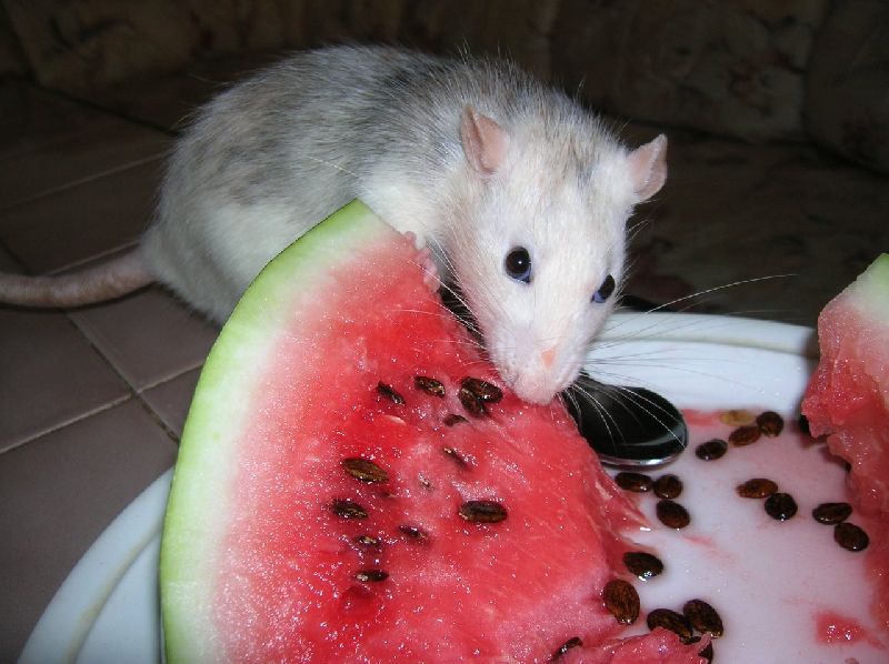 Foto: