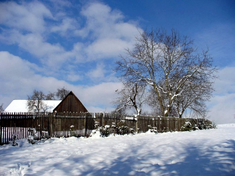 Foto: první sníh...