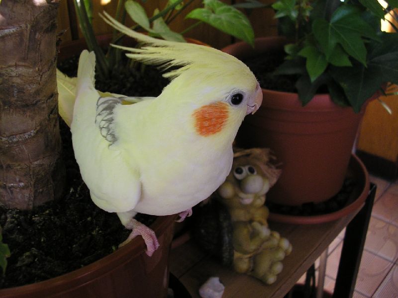 Foto: