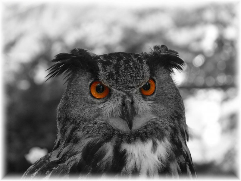 Foto: koukám jako vejr