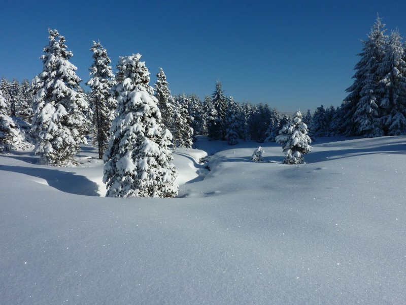 Foto: poslední záchvěv zimy 2