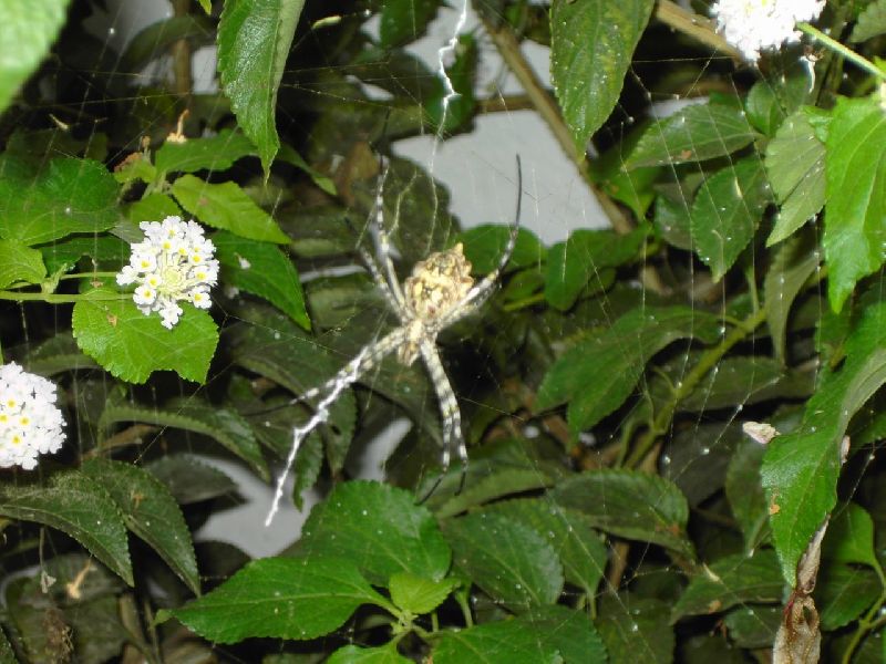 Foto: