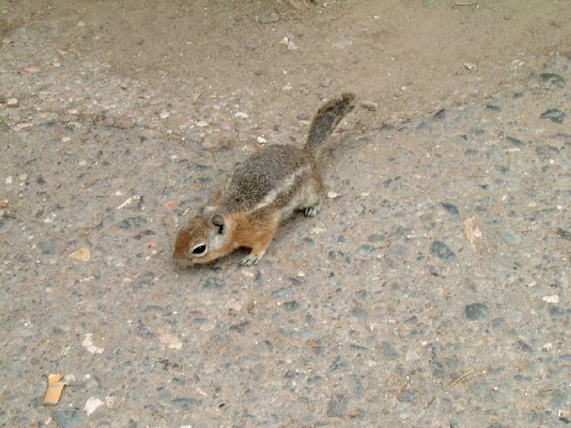 Foto: