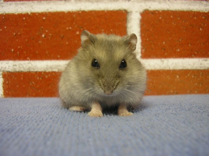 Foto: