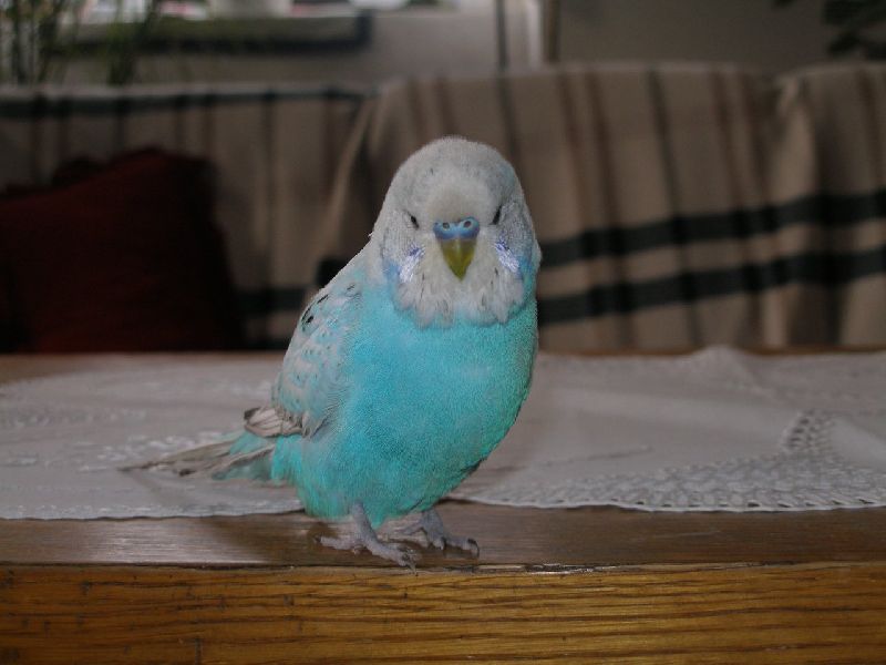 Foto: