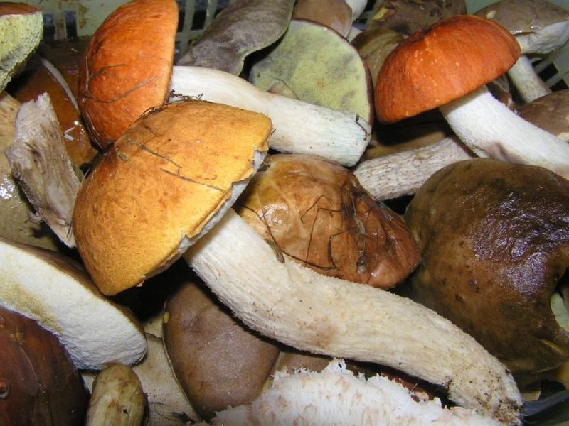 Foto: