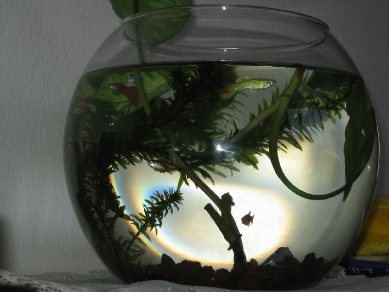 Foto: