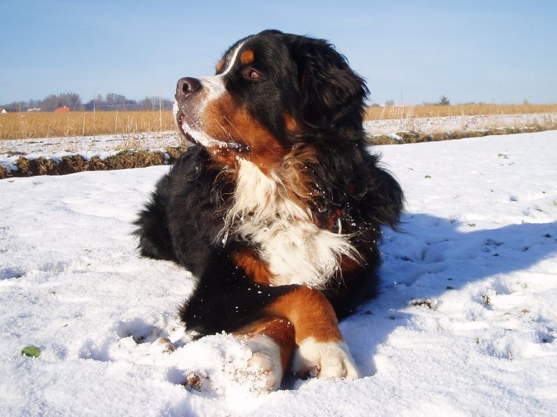 Foto: Zimní pohodička