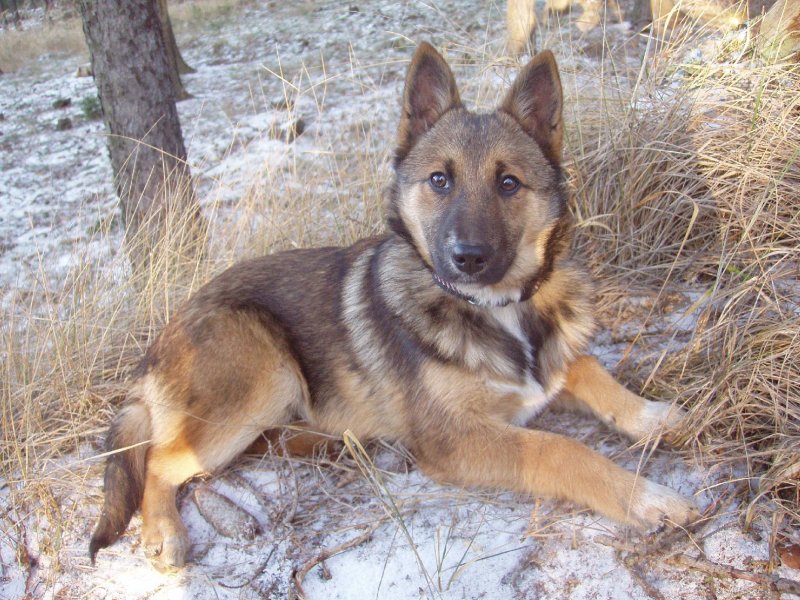 Foto: Ketty na vycházce