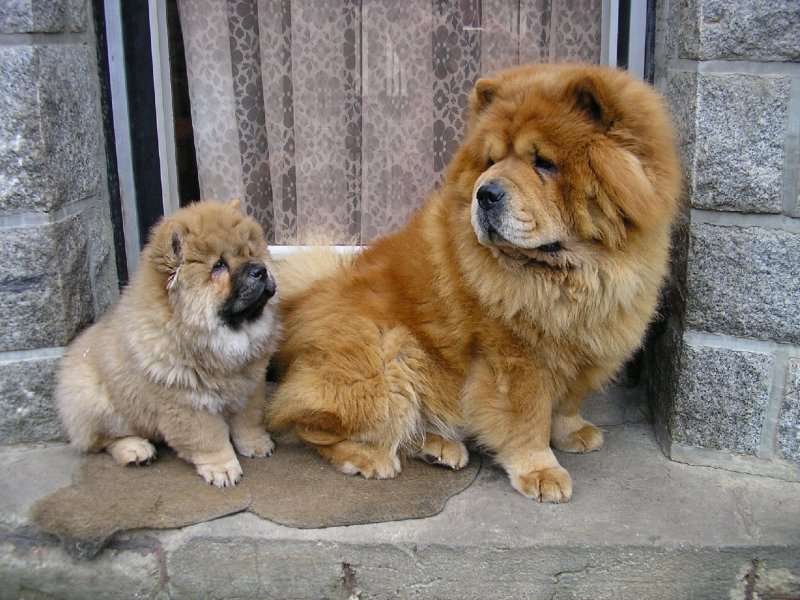 Foto: dávej pozor, naučím tě hlídat