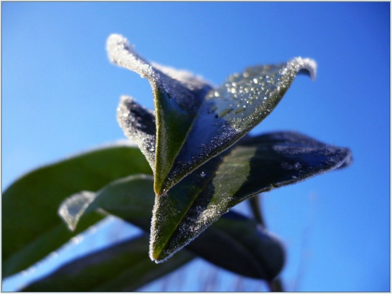 Foto: Sluníčko je pohladilo