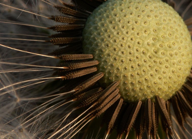 Foto: ...golfový míček...