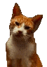 Více smajlíků ke stažení
