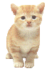 Více smajlíků ke stažení
