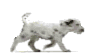 Více smajlíků ke stažení