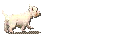 Více smajlíků ke stažení