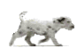 Více smajlíků ke stažení