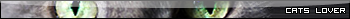 Více userbarů ke stažení