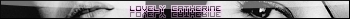Více userbarů ke stažení